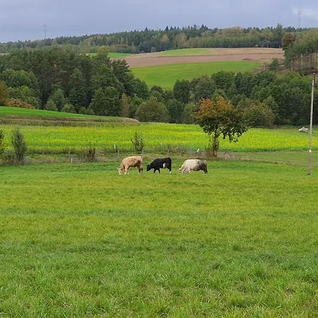 Dworek De Janauis Kościerzyna