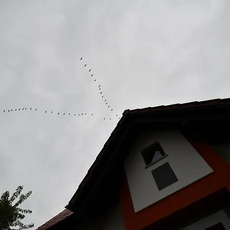 Dworek De Janauis *