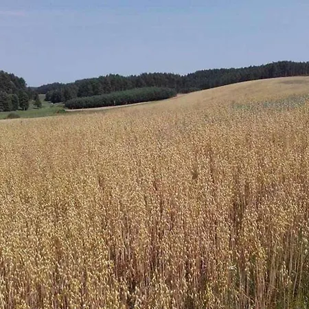 Dworek De Janauis * Kościerzyna