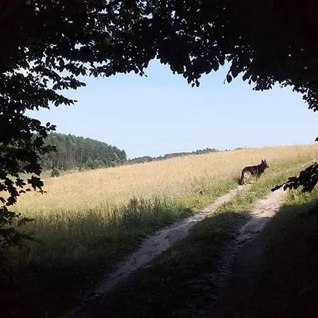 Dworek De Janauis * Kościerzyna