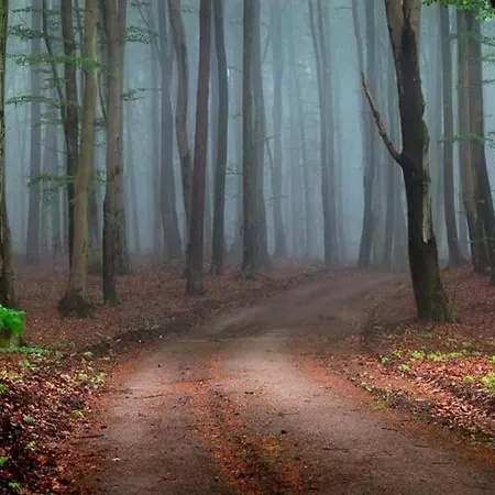 Dworek De Janauis * Kościerzyna