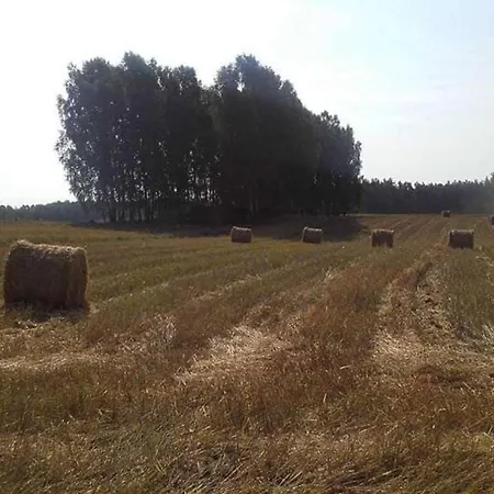 Prázdninový dům Dworek De Janauis *