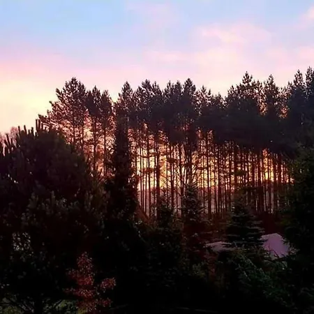 Dworek De Janauis *