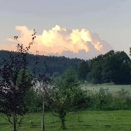 Prázdninový dům Dworek De Janauis