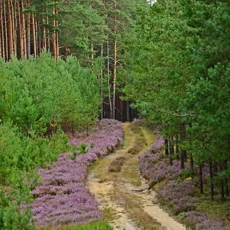 Dworek De Janauis *