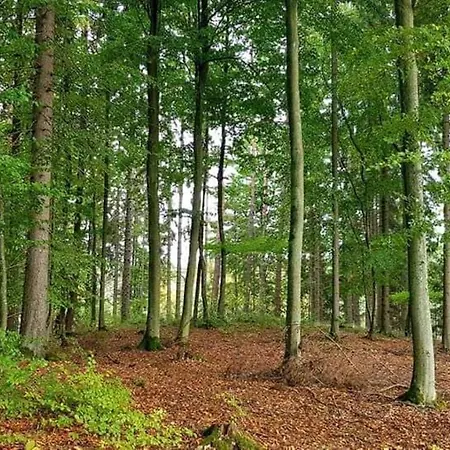 Dworek De Janauis Kościerzyna